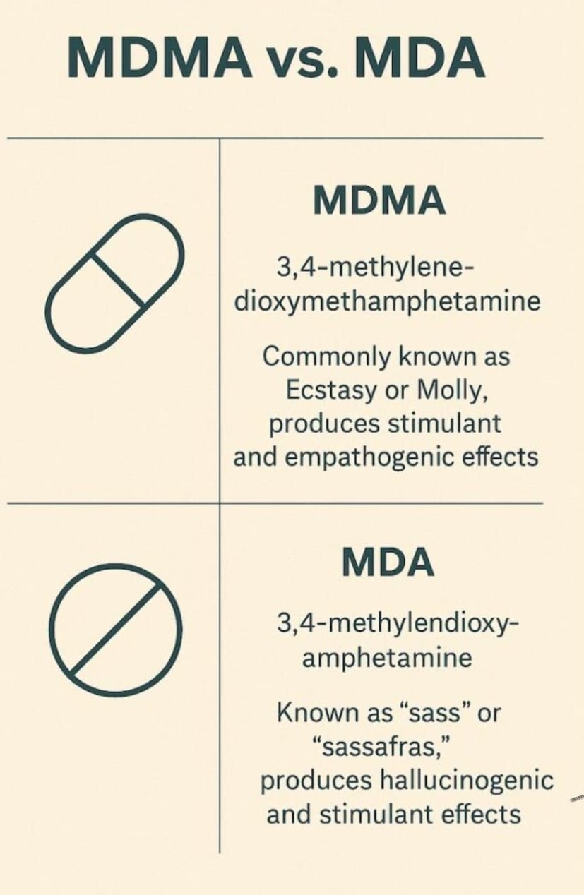 MDMA For Sale Canada. Educational infographic comparing MDMA and MDA with labeled diagrams, visual elements, and comparison details.